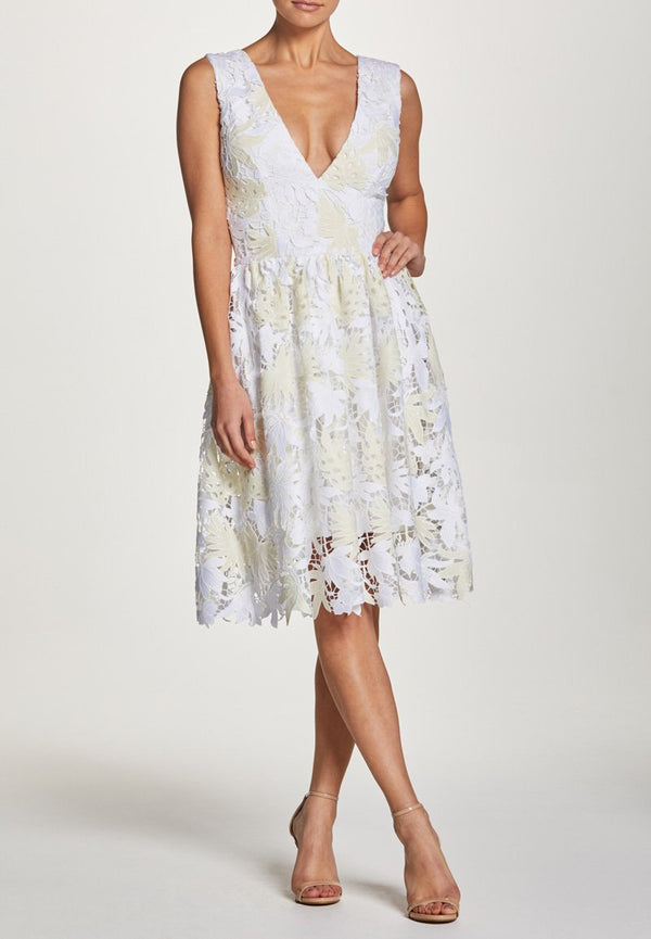 Rita Lace V-Neck Fit and Flare Dress