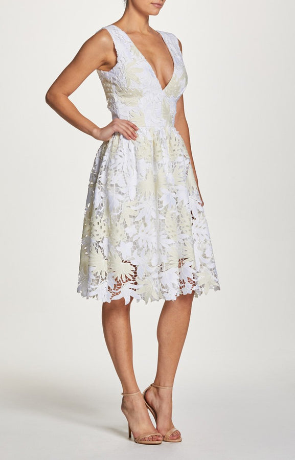 Rita Lace V-Neck Fit and Flare Dress