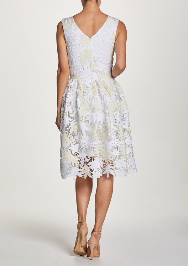 Rita Lace V-Neck Fit and Flare Dress