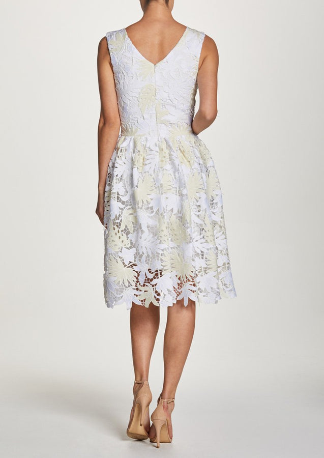 Rita Lace V-Neck Fit and Flare Dress